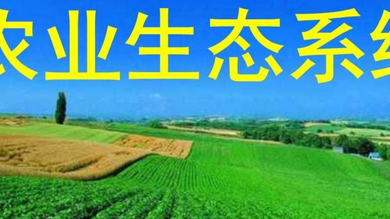 粮食种植资质代办：了解流程，规避误区**
