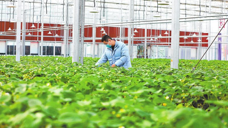 广州农产品批发档口冷库规格要求解析**