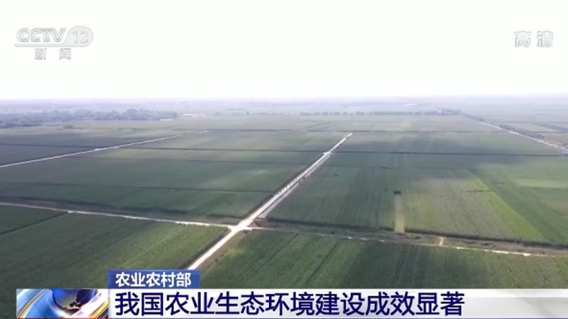 蔬菜批发价格波动背后的秘密**