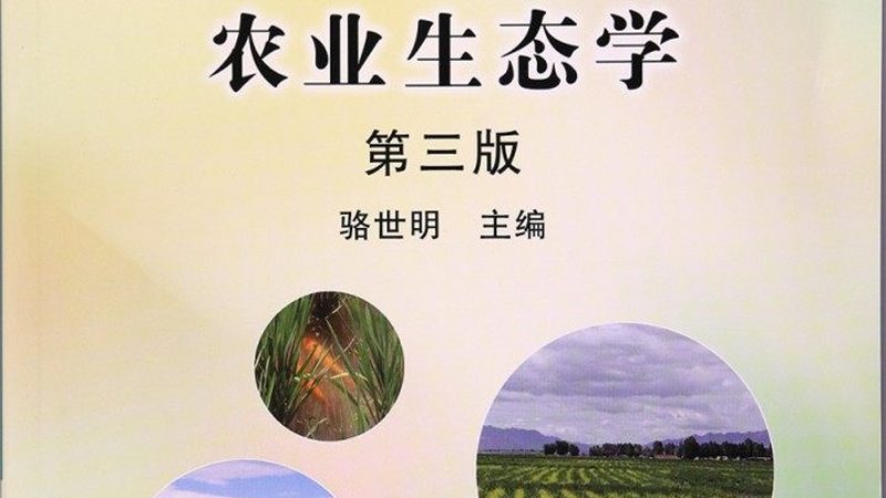 农产品电商平台服务规范：构建安全、高效的交易环境