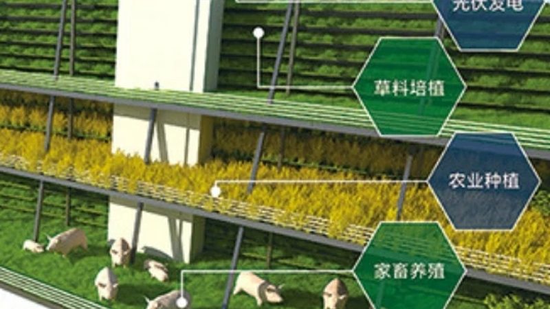 绿色食品公司报价单：解码背后的认证与价值**