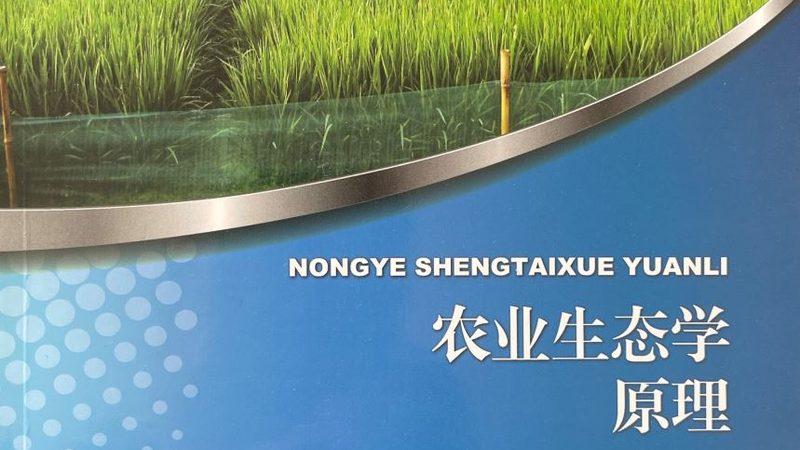 山东农产品批发市场规格参数解析
