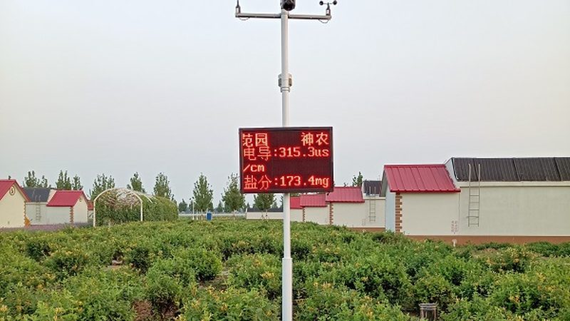 农业产业园招商方案：关键要素与撰写策略**