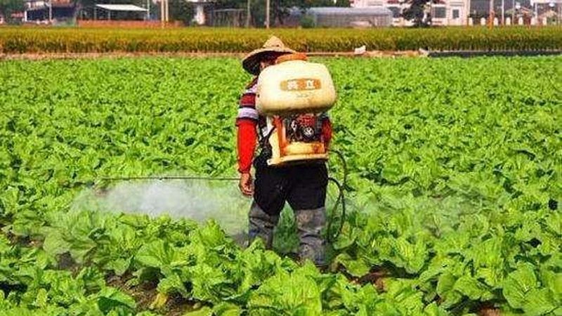 农资短视频获客技巧教程