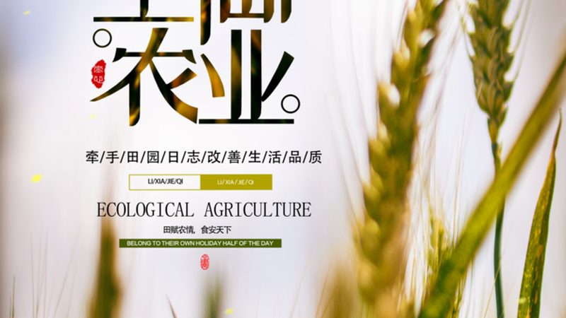 农产品批发市场进货货款结算，这些方式你了解吗？**